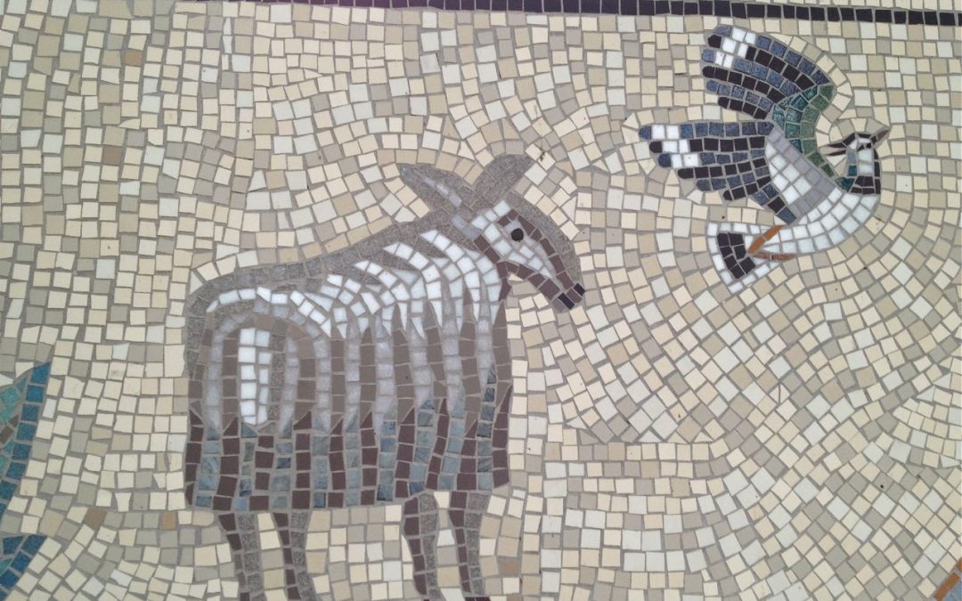 Baa-Ram-Ewe…Sheep in the City?